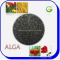 Extracto de algas orgánicas Fertilizante orgánico (ALGA WS100)